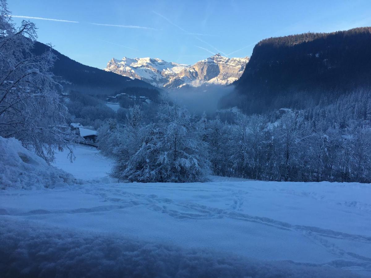 Vallee De Chamonix Au Pied Des Pistes Les Houches Εξωτερικό φωτογραφία